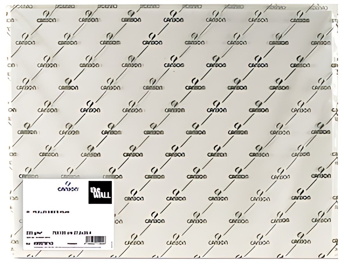 CANSON Papier à dessin "The WALL", 700 x 1.000 mm, 200 g/m2
