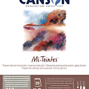 CANSON Papier beaux-arts Mi-Teintes, en bloc, 320 x 410 mm