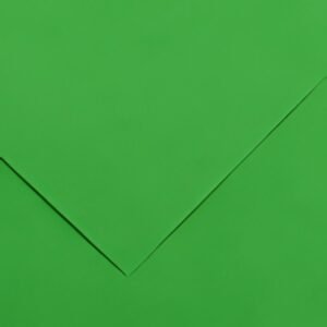CANSON Papier Vivaldi, 500 x 650 mm, 240 g/m2, vert franc