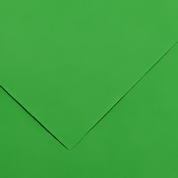 CANSON Papier Vivaldi, 500 x 650 mm, 240 g/m2, vert franc