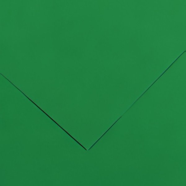 CANSON Papier Vivaldi, 500 x 650 mm, 240 g/m2, vert mousse