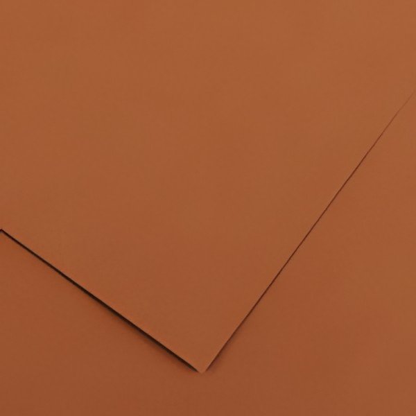 CANSON Papier Vivaldi, 500 x 650 mm, 240 g/m2, noisette