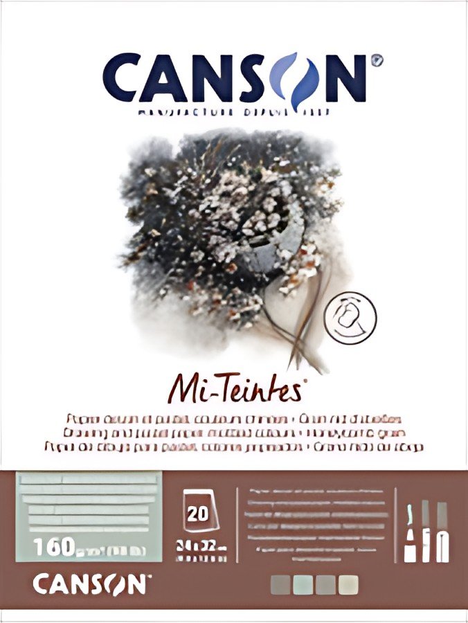 CANSON Papier beaux-arts Mi-Teintes, en bloc, 320 x 410 mm