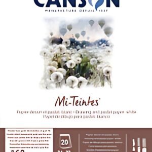 CANSON Papier beaux-arts Mi-Teintes, en bloc, 240 x 320 mm