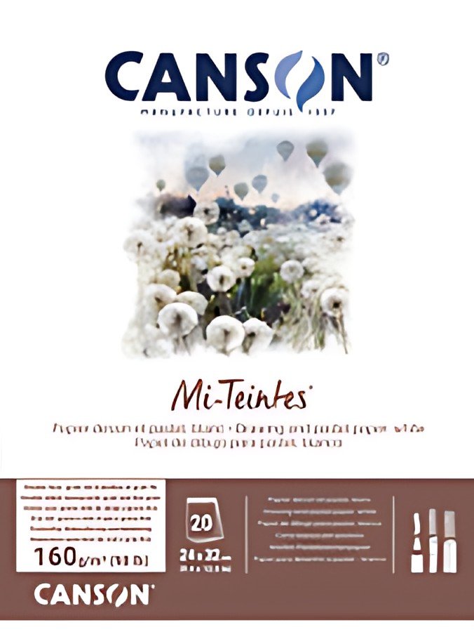 CANSON Papier beaux-arts Mi-Teintes, en bloc, 320 x 410 mm