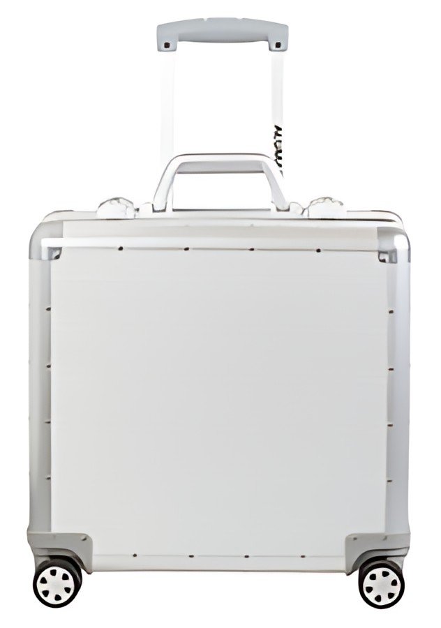 ALUMAXX Business Valise à roulettes GEMINI, argent