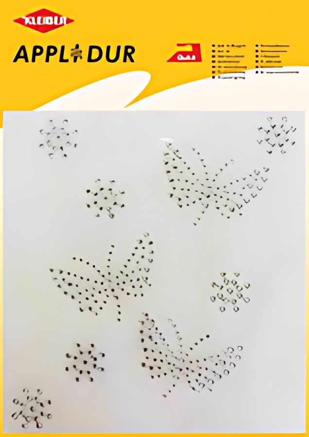 KLEIBER Application strass XL "Papillons & étoiles"