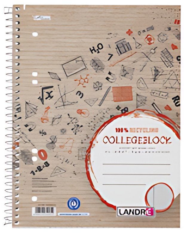 LANDRÉ Cahier "Recycling" A5+, quadrillé, 80 feuilles