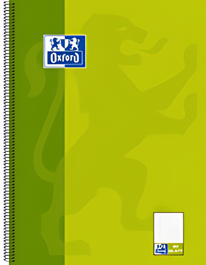 Oxford cahier à spirale "KarLi", format A4+, vert, 160 pages