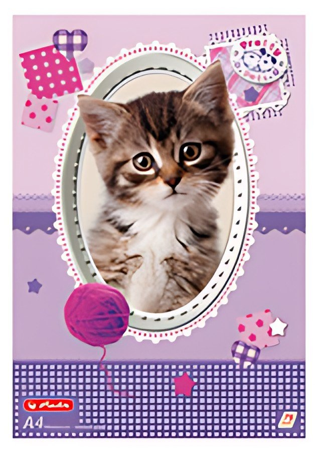 herlitz Album de coloriage Pretty Pets, A4, 70 g/m2, 75