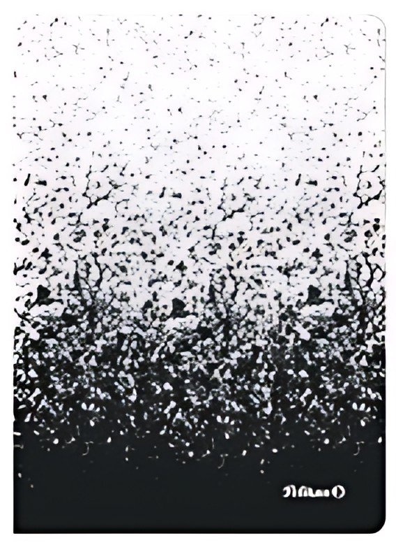 Pelikan Cahier Color Edition, A5, noir/blanc