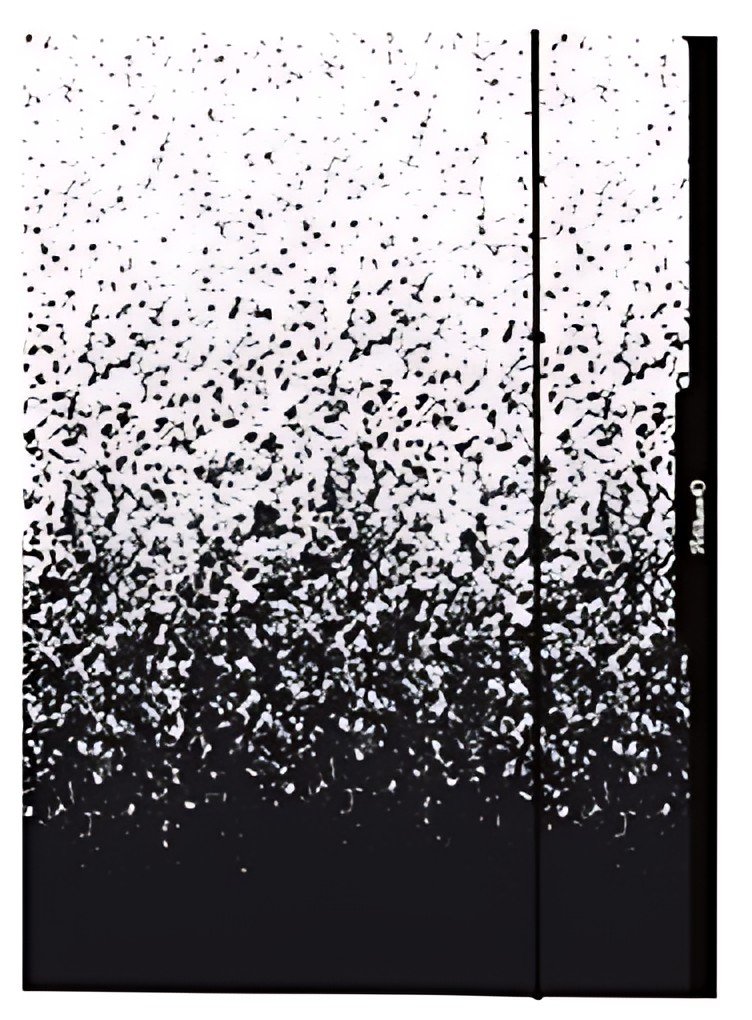 Pelikan Carton à dessin Color Edition, A3, noir/blanc
