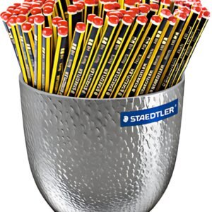 STAEDTLER Crayon Noris, hexagonal, pot de fleurs de 144