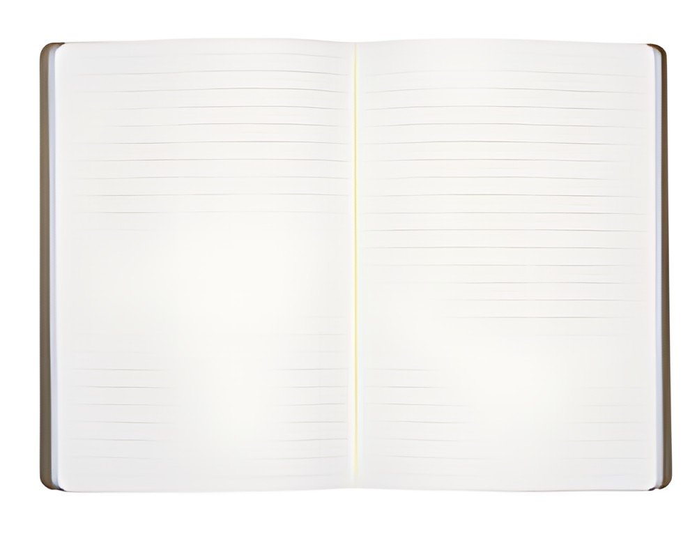 LAMY Carnet de notes couverture souple B4, A6, green