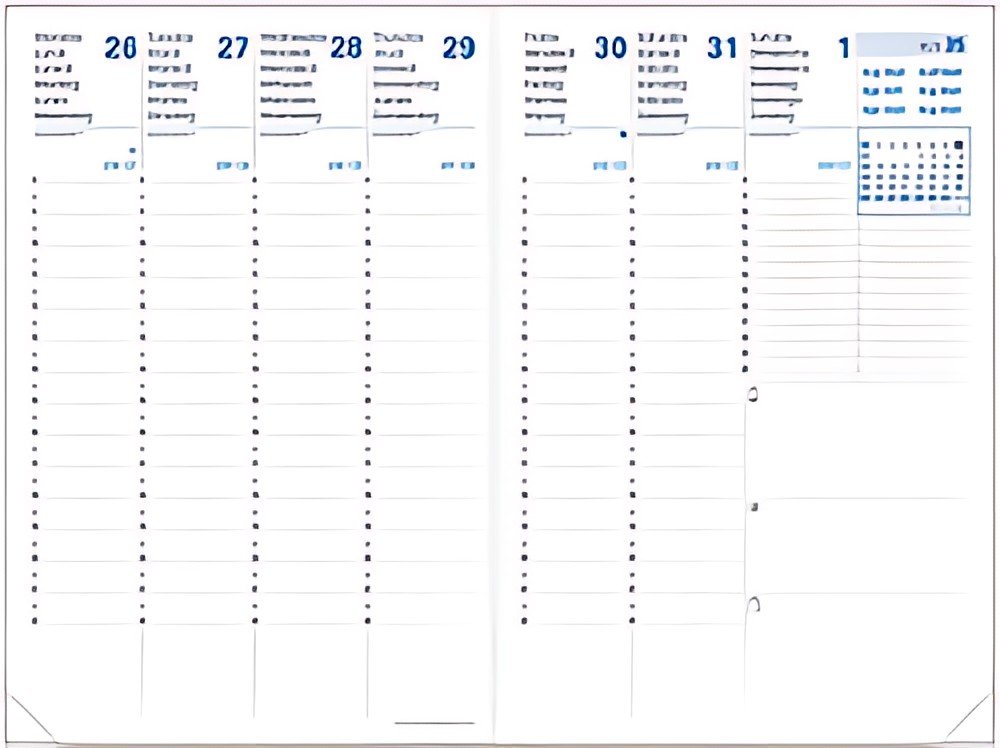 QUO VADIS Agenda Affaires SD, 2026/2027, 16 mois, vert
