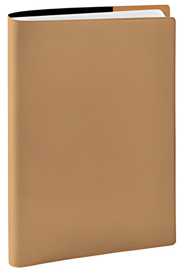 QUO VADIS EUROTEXTAGENDA scolaire EUNOIA, 2026/2027, beige