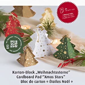 HEYDA Bloc de cartons "Étoiles de Noël", A4, 12 feuilles