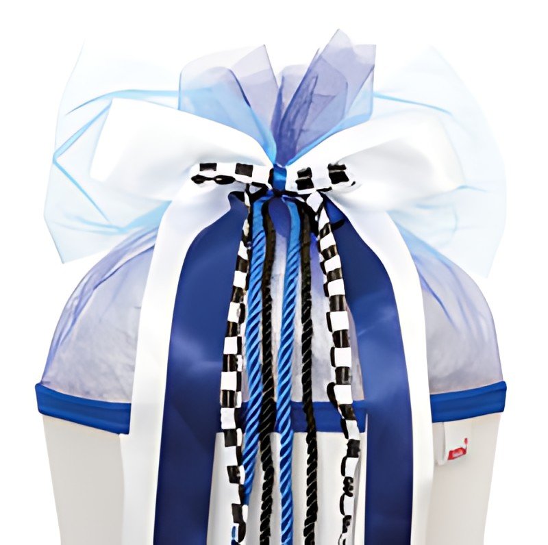 ROTH Pochette "Speed", blanc/bleu/noir en 70% polyester et