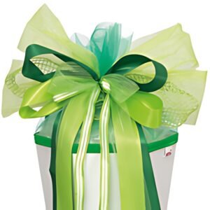 Arc conique scolaire ROTH XXL "Green Spirit", vert