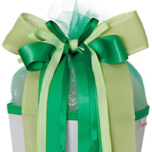 Arc conique scolaire ROTH "Fresh Green", vert