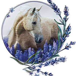 Ecusson thermocollant ROTH pour cône d'école en tissu DIY, cheval