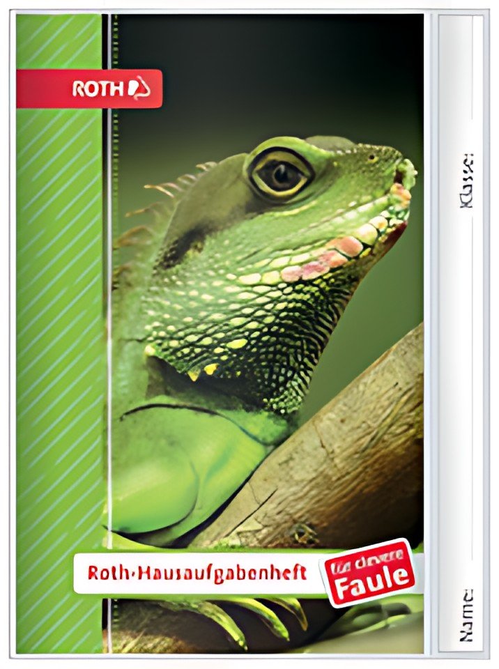 Livret de devoirs ROTH animaux pour gens intelligents et paresseux "Iguana"