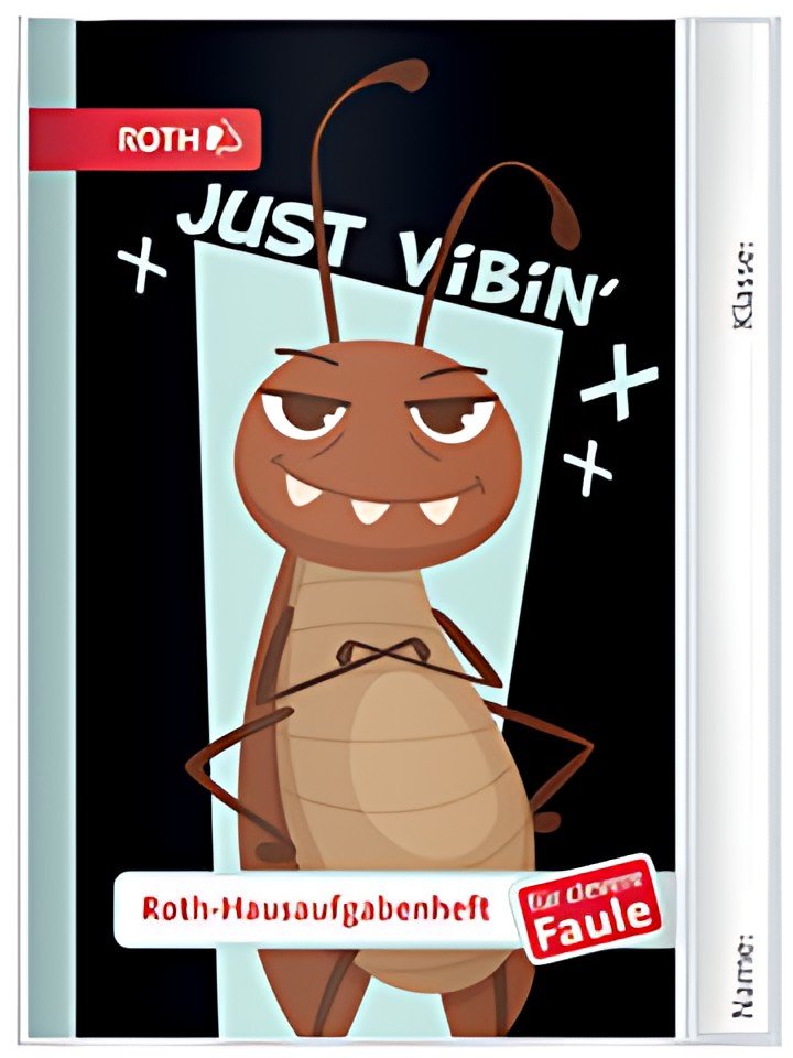 ROTH Hausaufgabenheft Teens für clevere Faule "Stinkefinger"