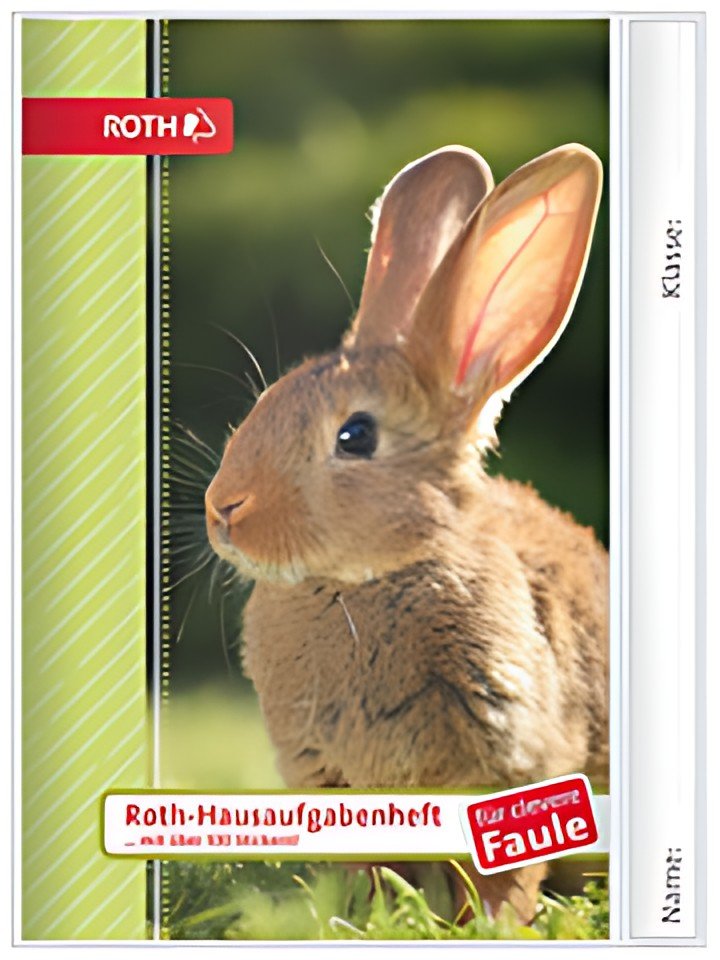 Livre de devoirs ROTH sur les animaux pour les gens intelligents et paresseux "Lapin"