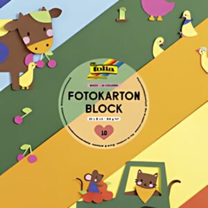 folia Bloc de carton de bricolage, 220 x 330 mm
