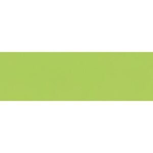 folia Papier transparent, (l)505 x (L)700 mm, vert clair