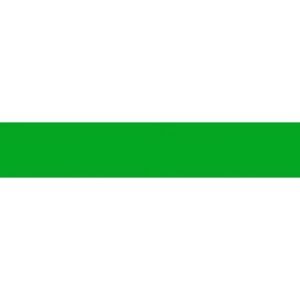 folia Carton de bricolage, A4, 300 g/m2, vert herbe