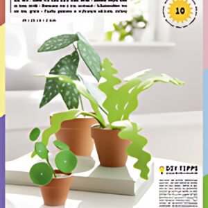 folia Mousse éponge, (L)200 x (H)290 mm, assortiment vert