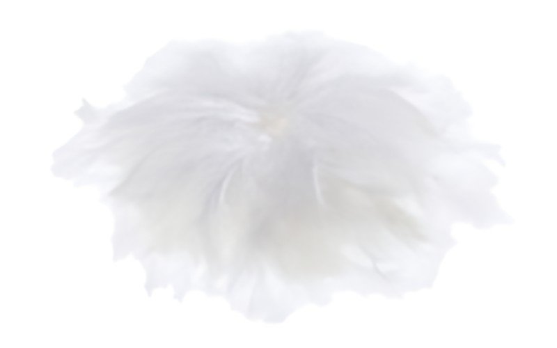 folia Plumes soyeuses, 10 g, blanc