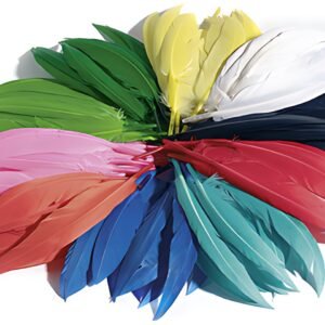 folia Plumes d'indiens, 10 g, assorti