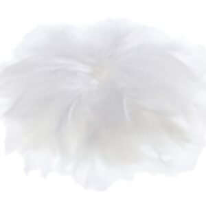 folia Plumes soyeuses, 100 g, assorti