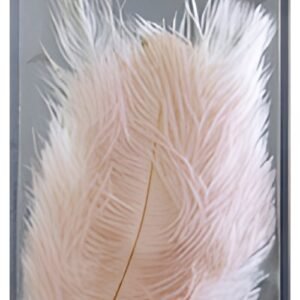 folia Plumes d'autruche, longueur : env. 170 mm, assorti