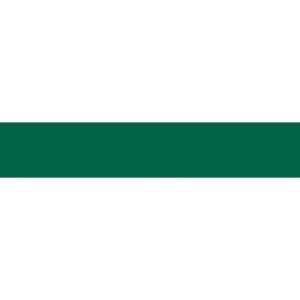 folia Carton de couleur, A4, 220 g/m2, vert sapin