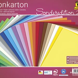folia Carton de couleur, (L)250 x (H)350 mm, 220 g/m2