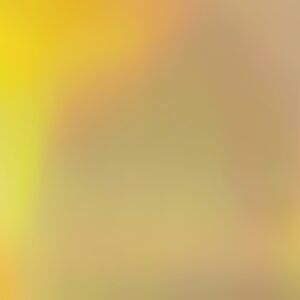 folia Carton irisé, 250 g/m2, 500 x 700 mm, or