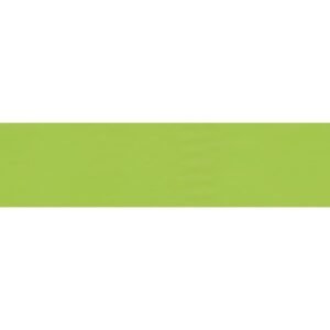 folia Rouleau de papier de soie, 500 x 700 mm, vert clair