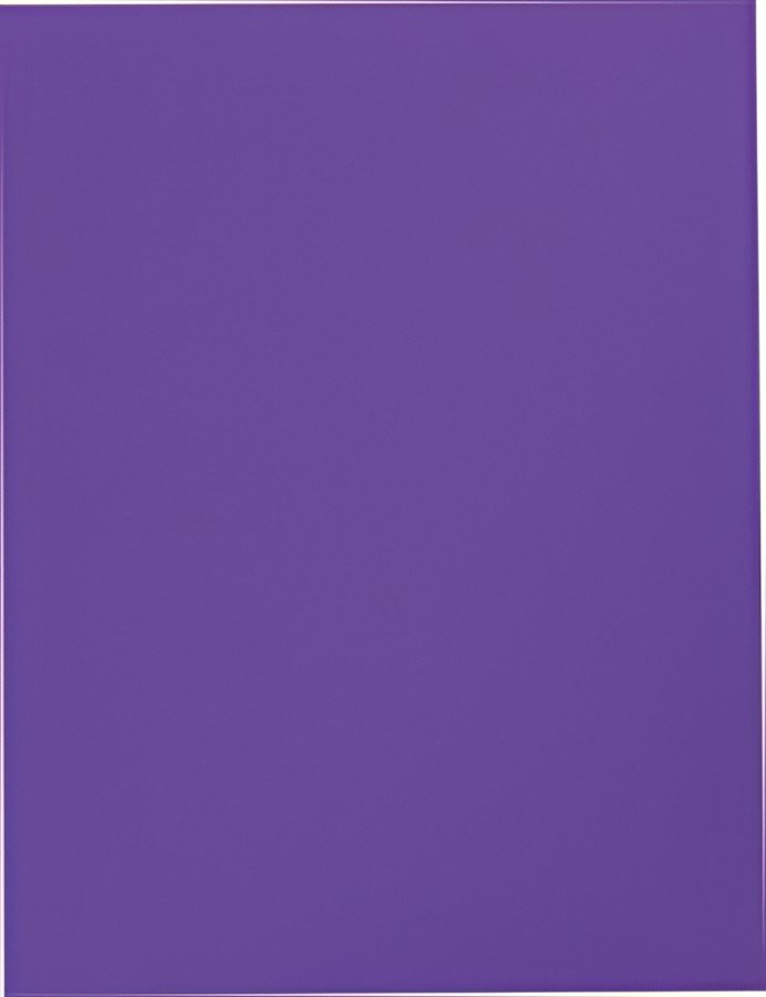 folia Carton à dessin, en carton, A4, lilas