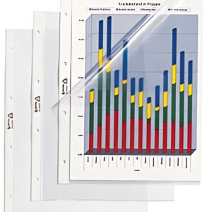 HETZEL Pochette perforée Standard, A4, en PVC, grainée