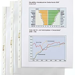 HETZEL Pochette perforée Economic, A4, PP, grainé