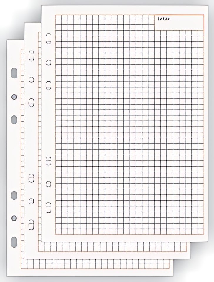 bind Fiche de rechange pour notes Manager, A5, quadrillé