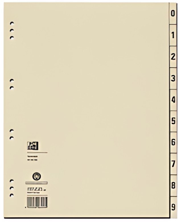 Oxford Intercalaires, 240 x 300 mm, imprimé 2 faces, chamois