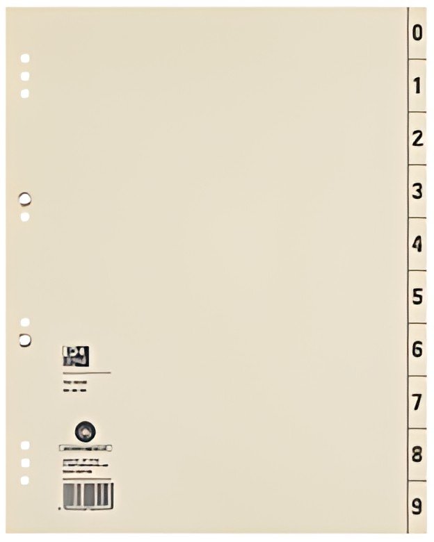 Oxford Intercalaires, 240 x 300 mm, imprimé 2 faces, chamois