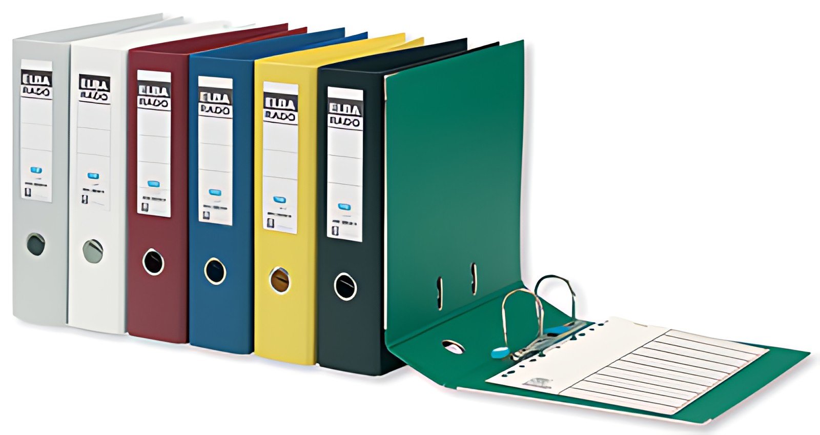 ELBA Classeur rado plast, largeur de dos: 80 mm, A4, vert