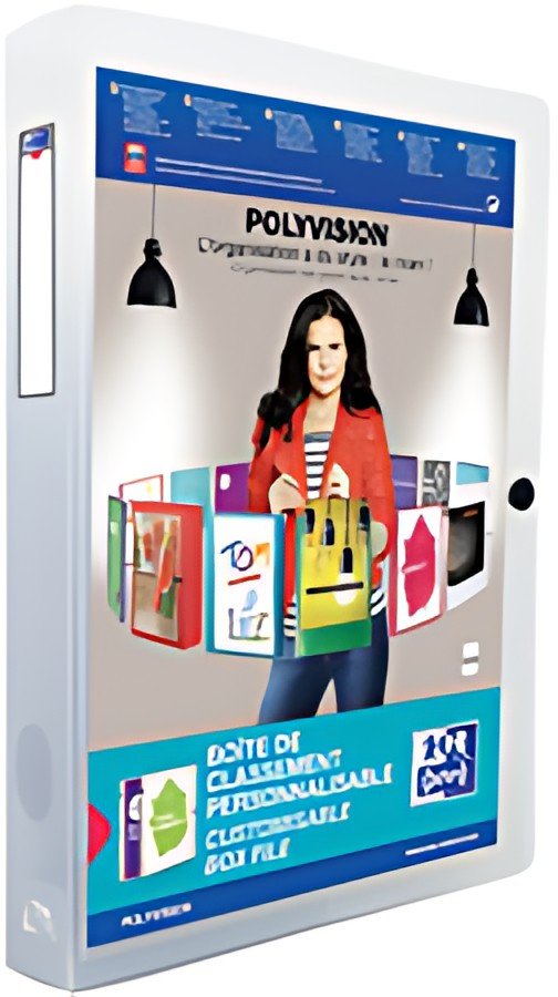 Oxford Boite de rangement POLYVISION, A4, PP, incolore