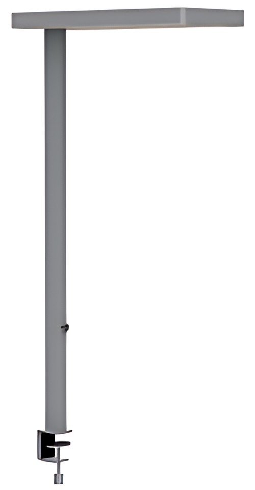 MAUL Lampadaire à LED version bureau MAULjaval, argent