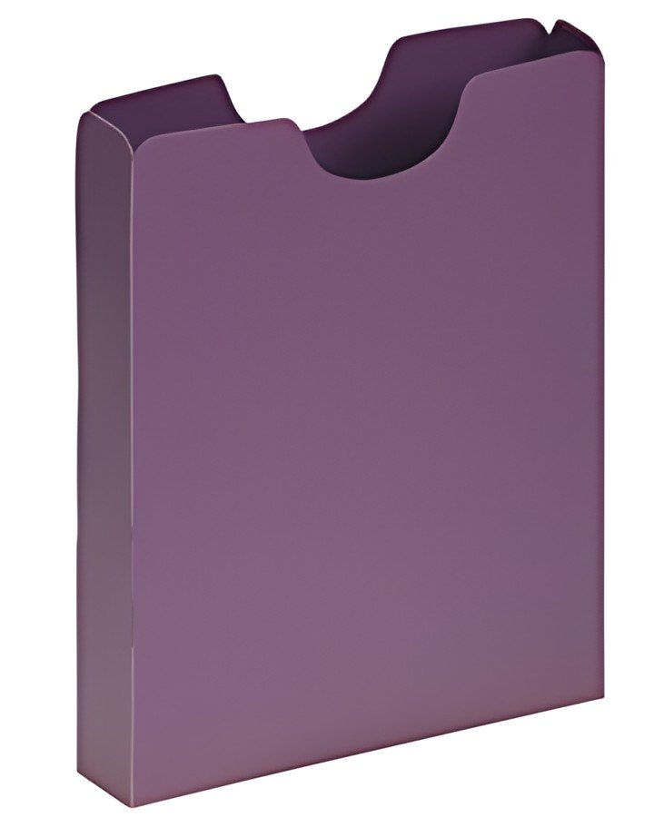 PAGNA Chemise de rangement A4, PP, lilas